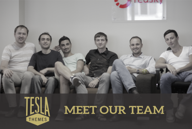 TeslaThemes Team