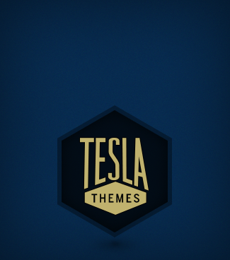 TeslaThemes interview cover