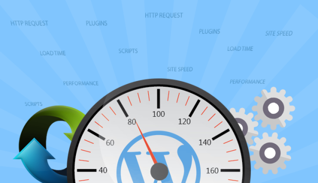 WP plugins slowing down